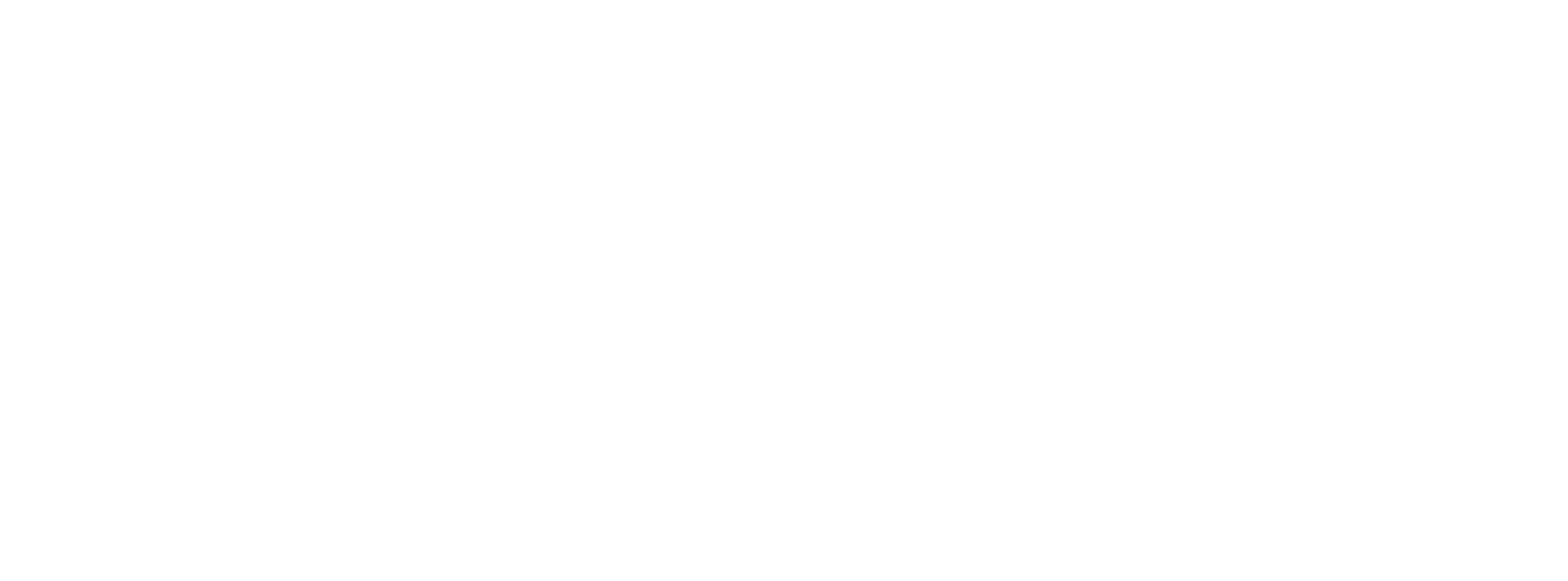 BisaDoctor logo